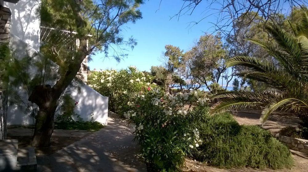 Mika Bungalows Naousa  Bagian luar foto